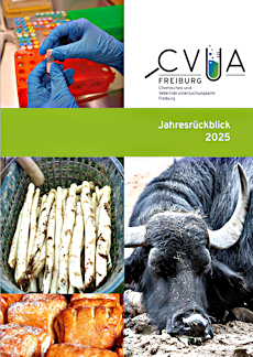 Die Brosch�re Jahresr�ckblick 2025