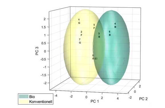 Abbildung 3 - Grafische Darstellung der Auswertung von Eiern einer Messreihe (Abkürzungen: B = bio, F = Freiland, G = Bodenhaltung, R-Ei =  Kontrollprobe). Alle als „bio“ ausgelobten Proben liegen im richtigen Erwartungsraum (grünes Ellipsoid), sind also unauffällig, ebenso die konventionell erzeugten Eier. Das Diagramm zeigt die ersten drei Dimensionen (PC1 bis 3) einer Hauptkomponentenanalyse und die 95%-Konfidenzellipsoide der Referenzdatenbank.