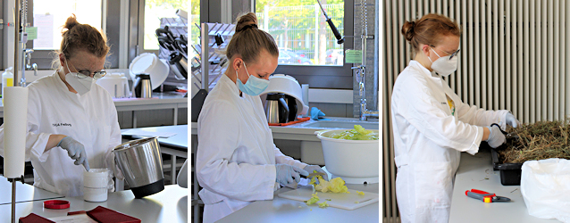 Probenvorbereitung fr Gamma-Strahlung-Messung bei der IMIS-bung 2022