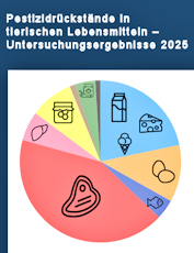 Lesen Sie den ausf�hrlichen Bericht