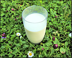 Milchglas im Gras Milchglas im Gras