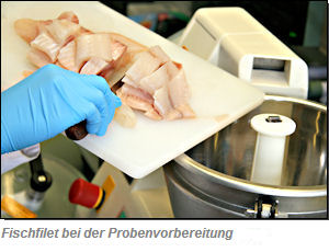 Pangasiusfilet bei der Probenvorbereitung