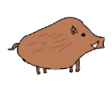 Zeichnung: Schwein